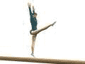 cartwheel.gif